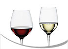 Spiegelau Wine Glasses